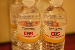 gayacentre-hotel-room-19