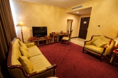 gayacentre-hotel-room-22